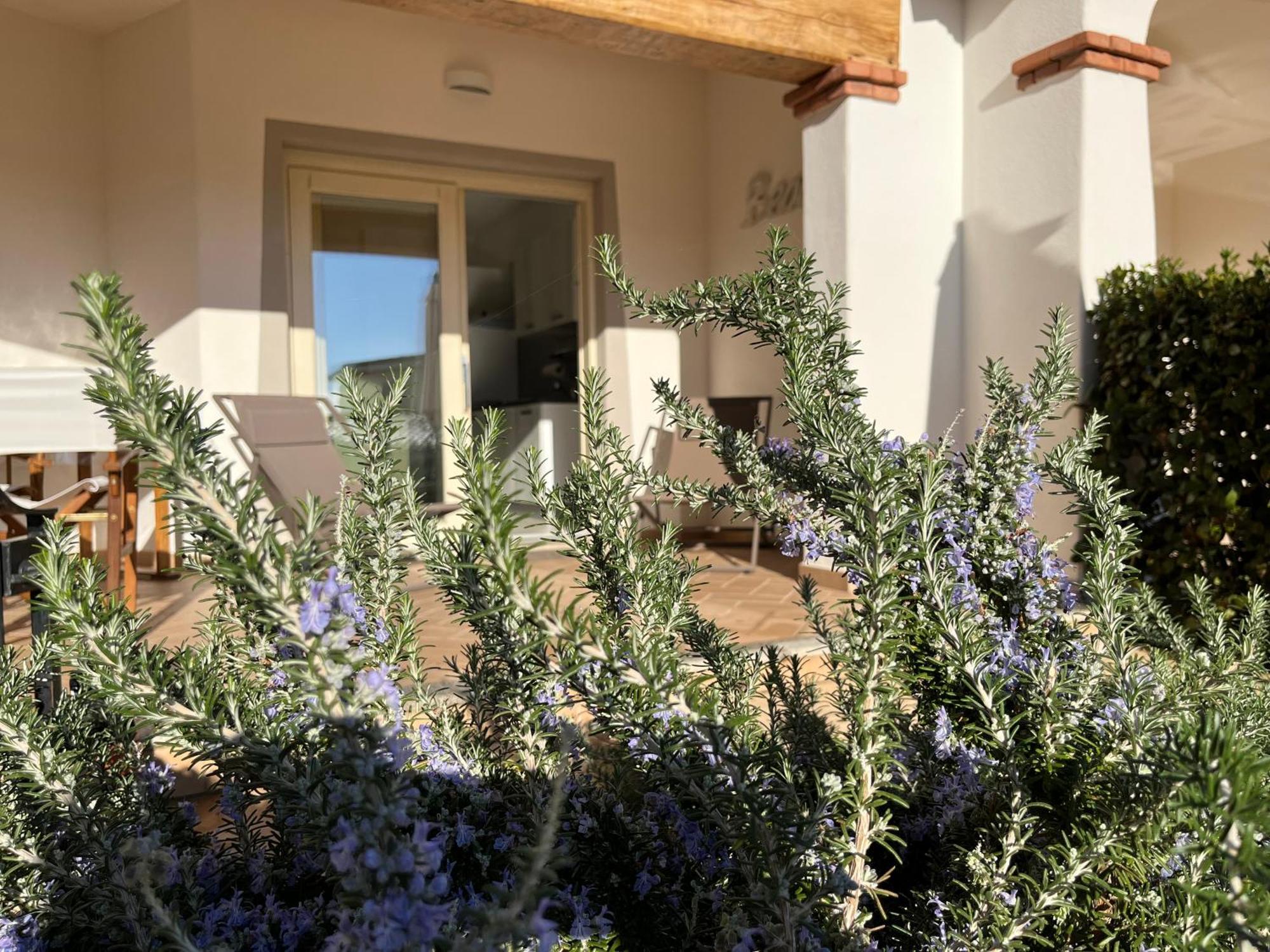 Ferienwohnung Residenza Limpiddu Budoni Exterior foto